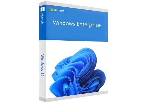 Licencia digital de Microsoft Windows 11 Enterprise