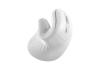 Nilox NXMOEV03 Ratón Vertical Wirelles Sil. Blanco