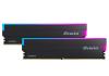 Biwin DW100 DDR5 6000 48GB CL28 (24*2) Black RGB