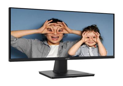 MSI PRO MP225 E12VL Monitor 22" FHD 120Hz VGA HDMI