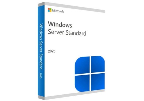 Licencia Permanente ESD Windows Server 2025 Standard